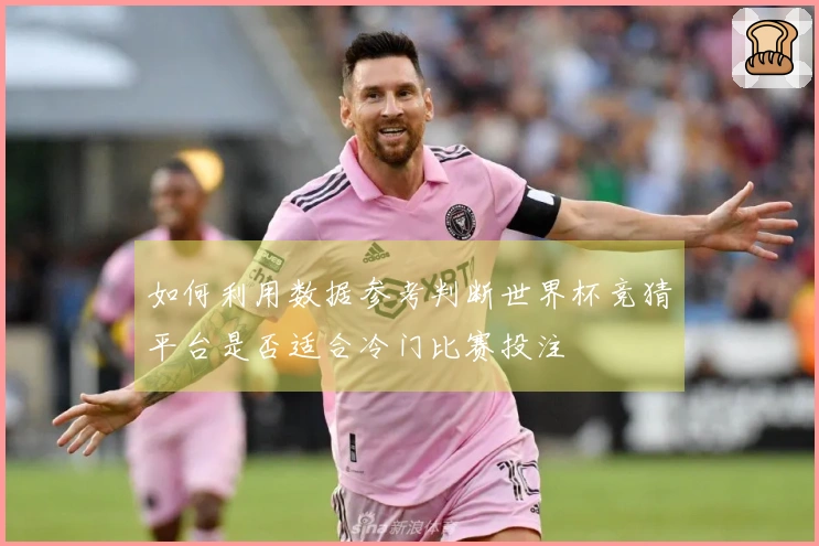 如何利用数据参考判断世界杯竞猜平台是否适合冷门比赛投注